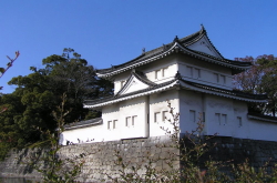 ○○○公園写真